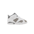Jordan 6 Retro Cool Grey (TD)
