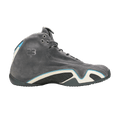 Jordan 21 OG Graphite