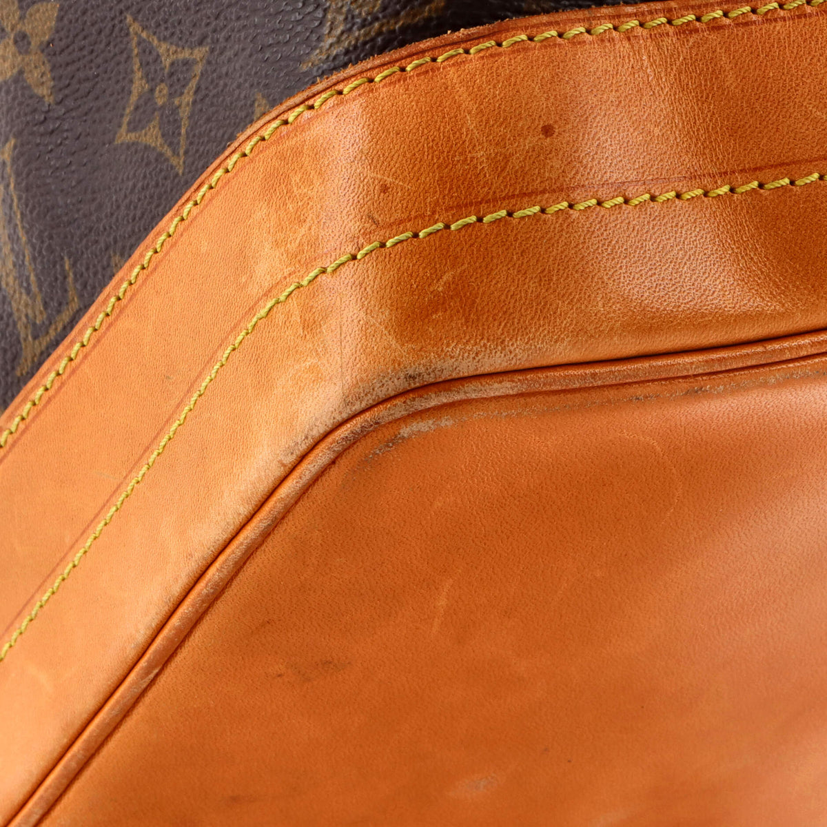 Noe Handbag Monogram Canvas Large