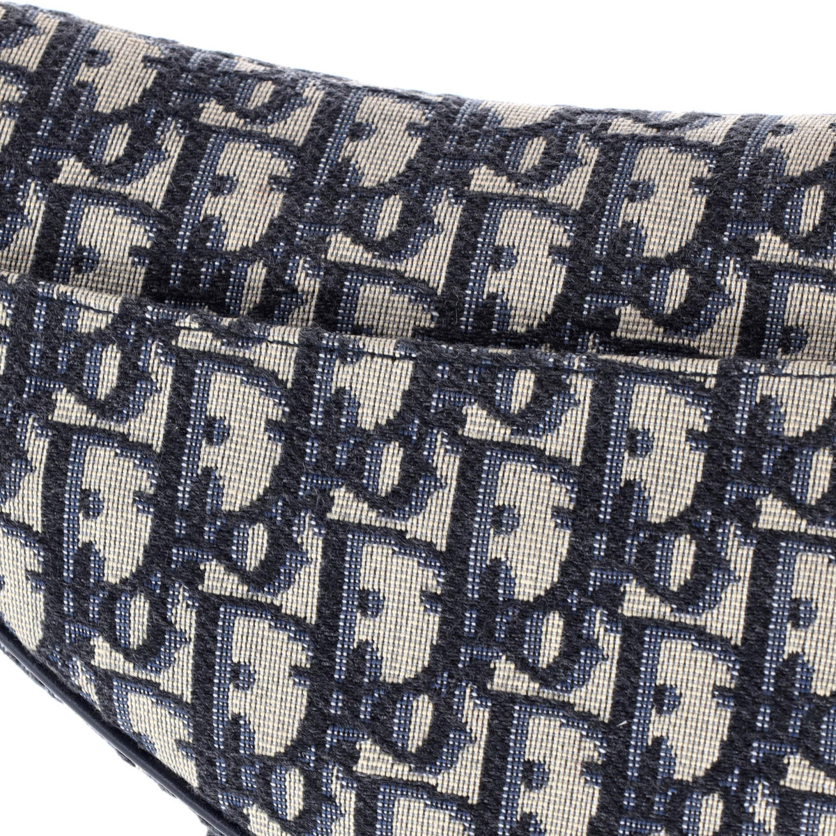 Saddle Handbag Oblique Canvas Mini
