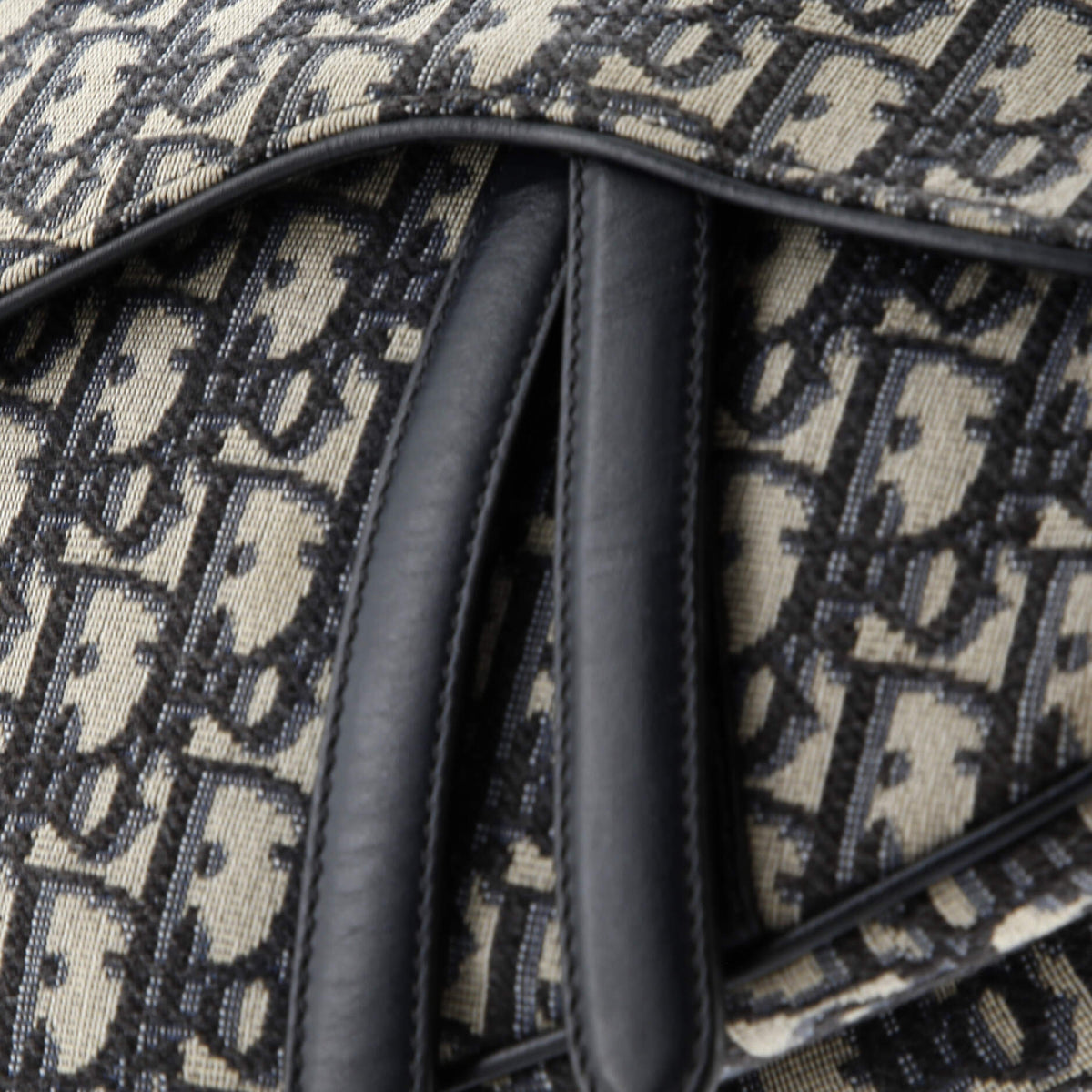 Saddle Handbag Oblique Canvas Medium