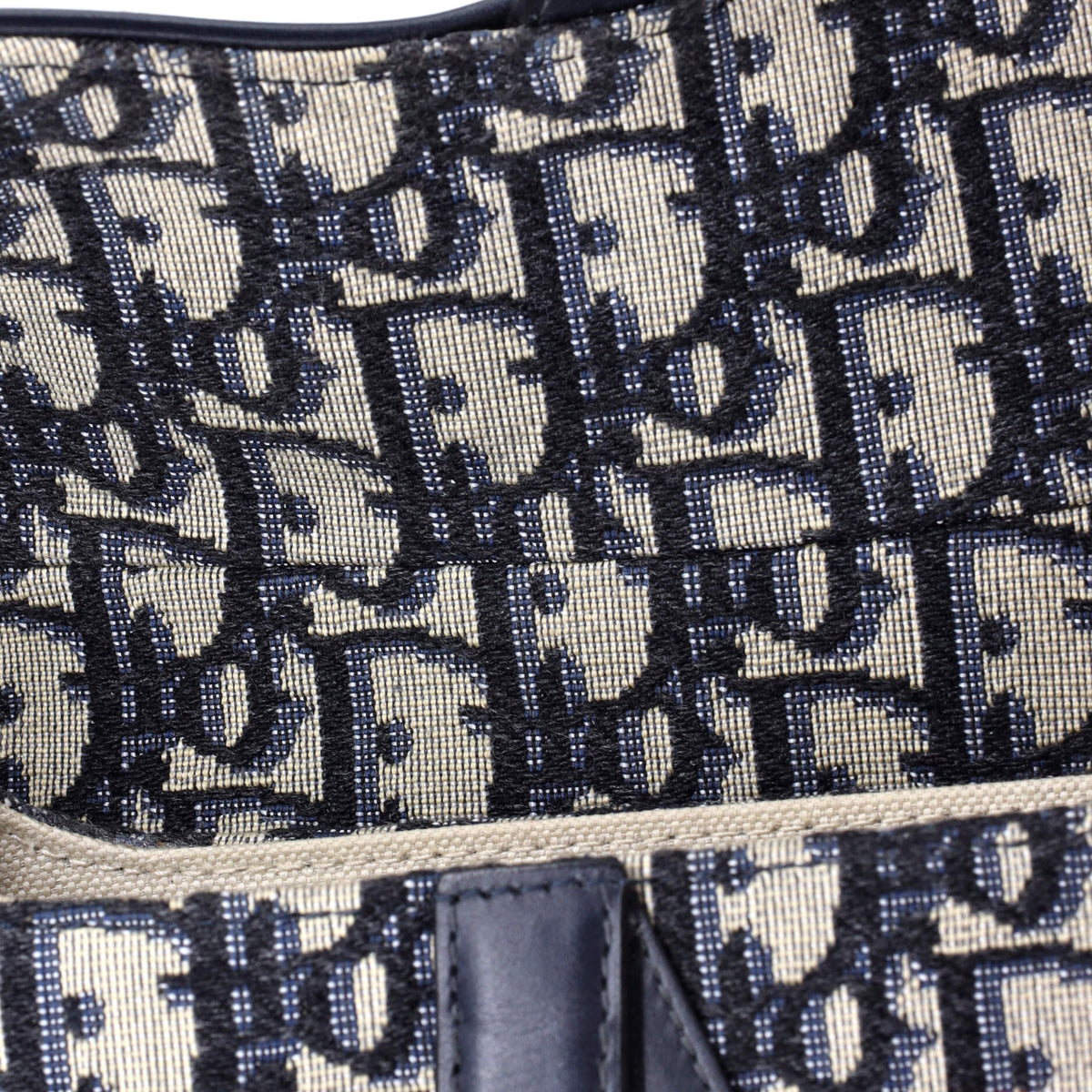Saddle Handbag Oblique Canvas Mini