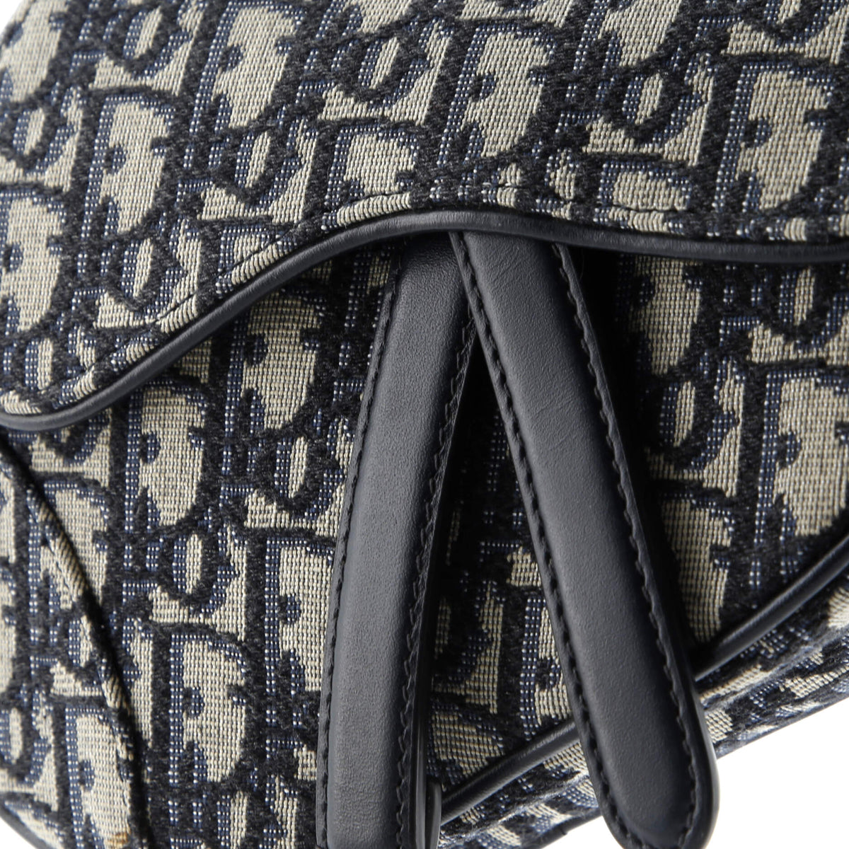 Saddle Handbag Oblique Canvas Mini