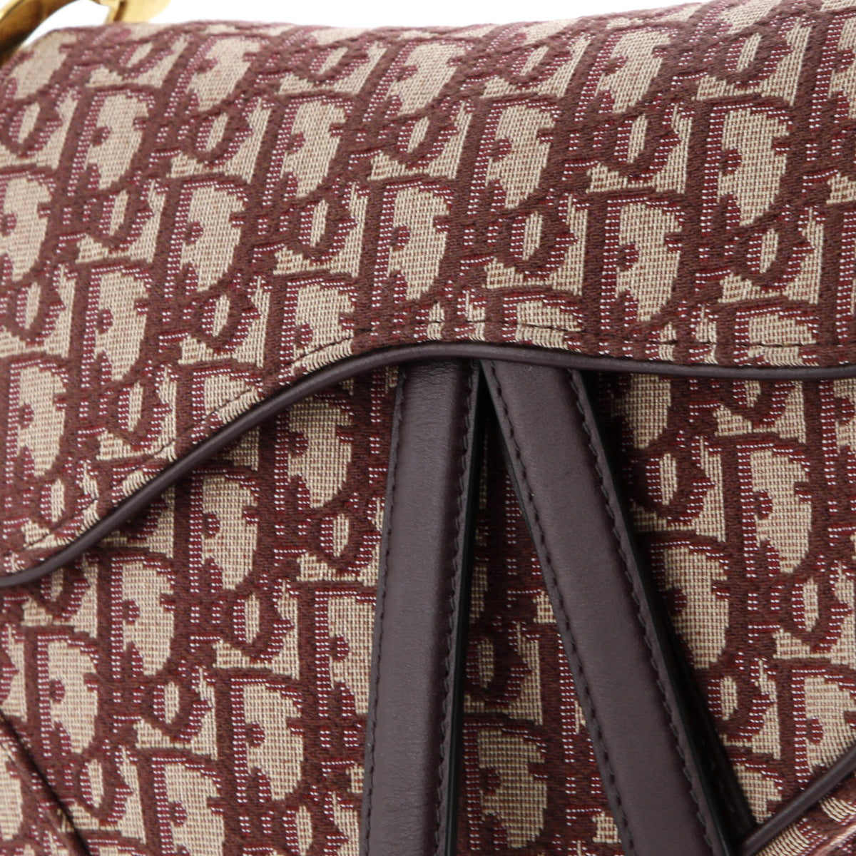 Saddle Handbag Oblique Canvas Medium