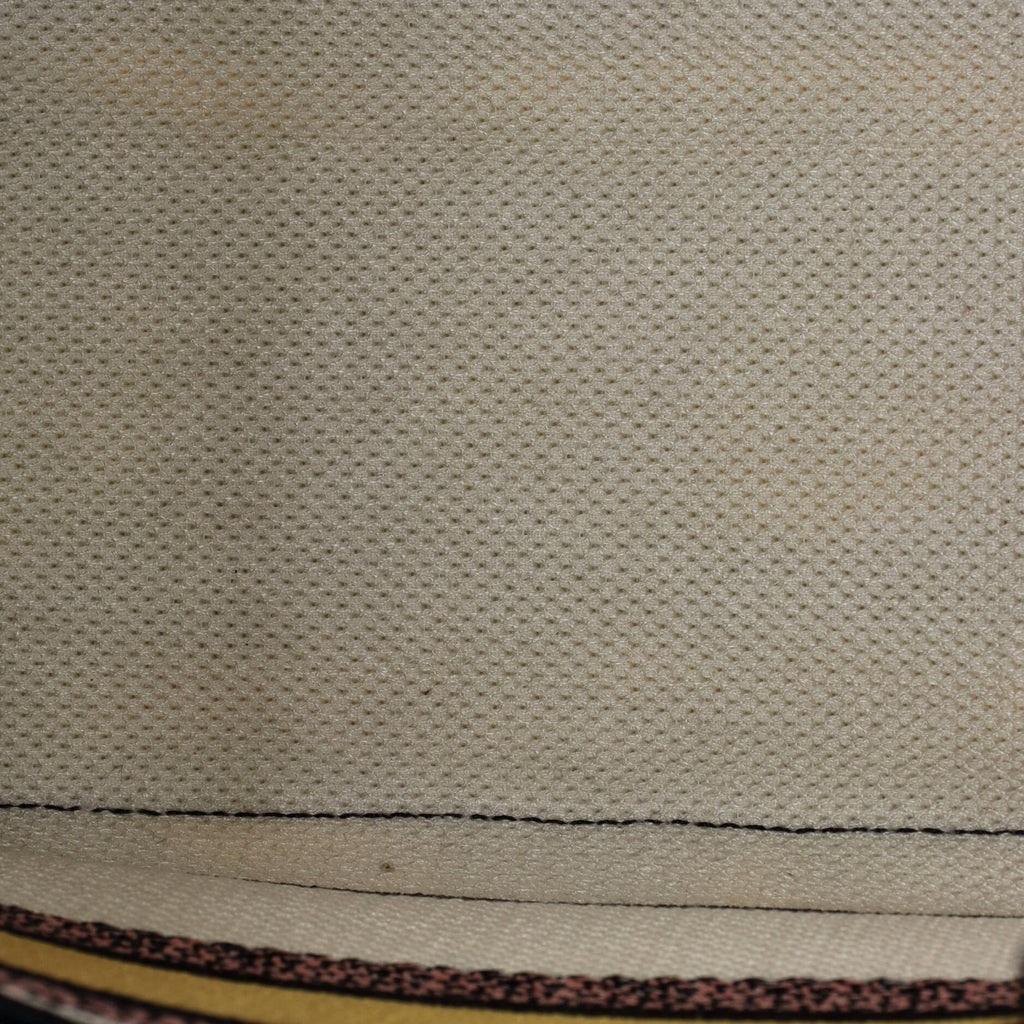 Lady D-Lite Bag Mizza Embroidered Canvas Medium