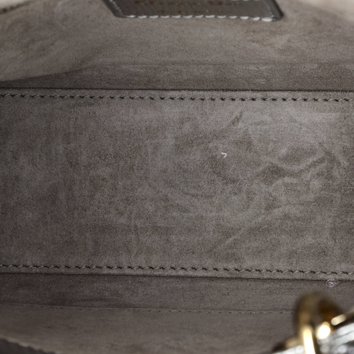 Lady Dior Bag Lizard Small