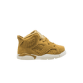 Jordan 6 Retro Wheat (TD)