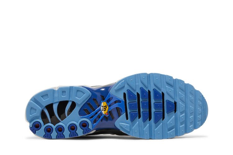 Nike Air Max Plus Black Royal Grey