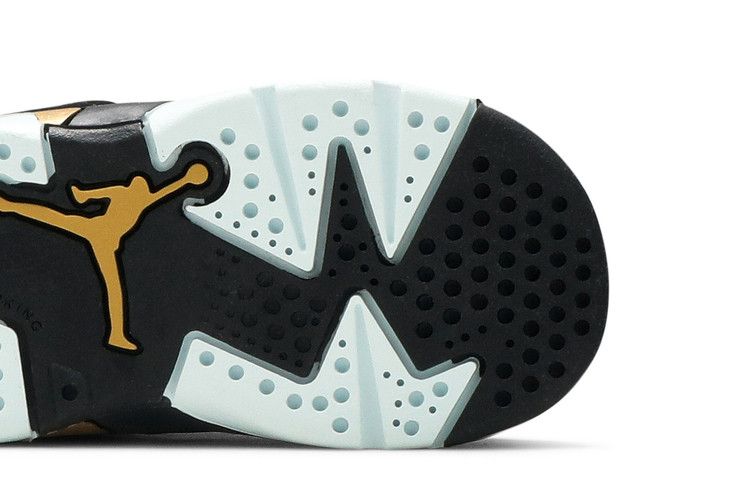 Jordan 6 Retro DMP (TD)
