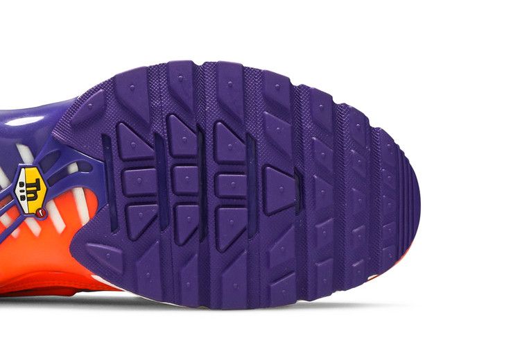 Nike Air Max Plus Color Flip Pack Black