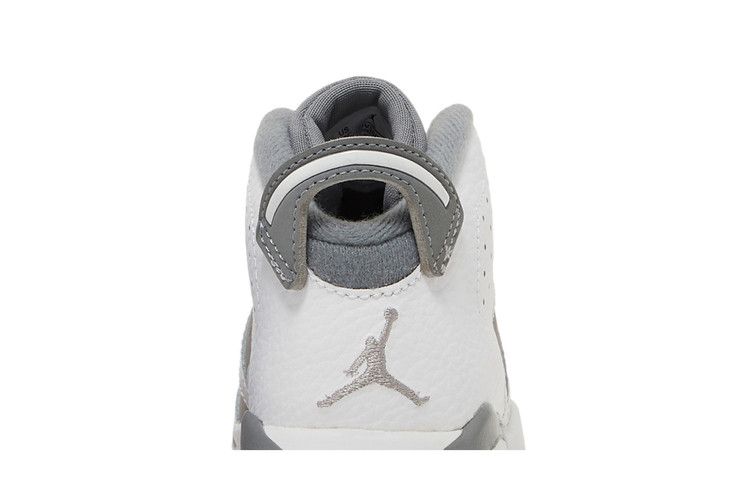 Jordan 6 Retro Cool Grey (TD)