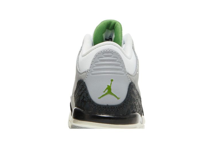 Jordan 3 Retro Chlorophyll (TD)