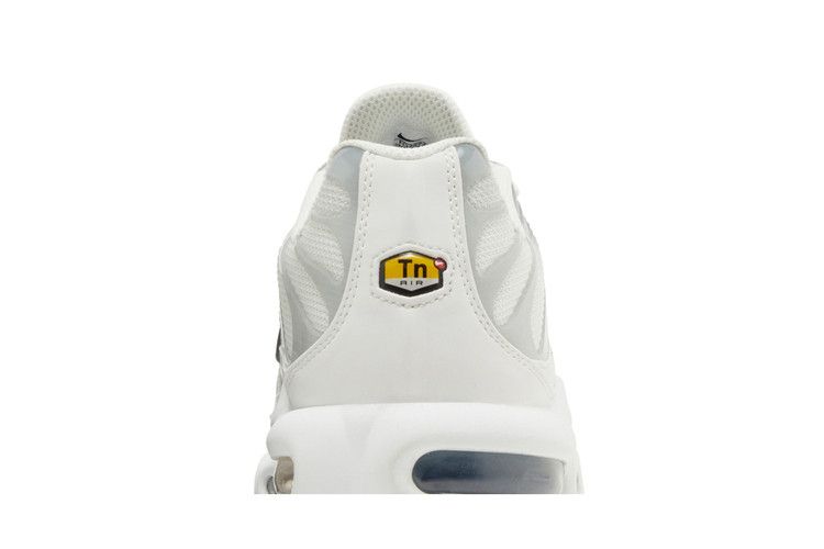 Nike Air Max Plus Smoke Grey Ashen Slate (Women's)
