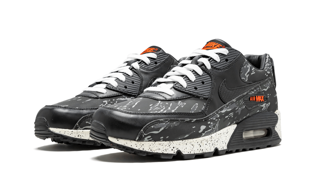 Air Max 90 Premium "Atmos"