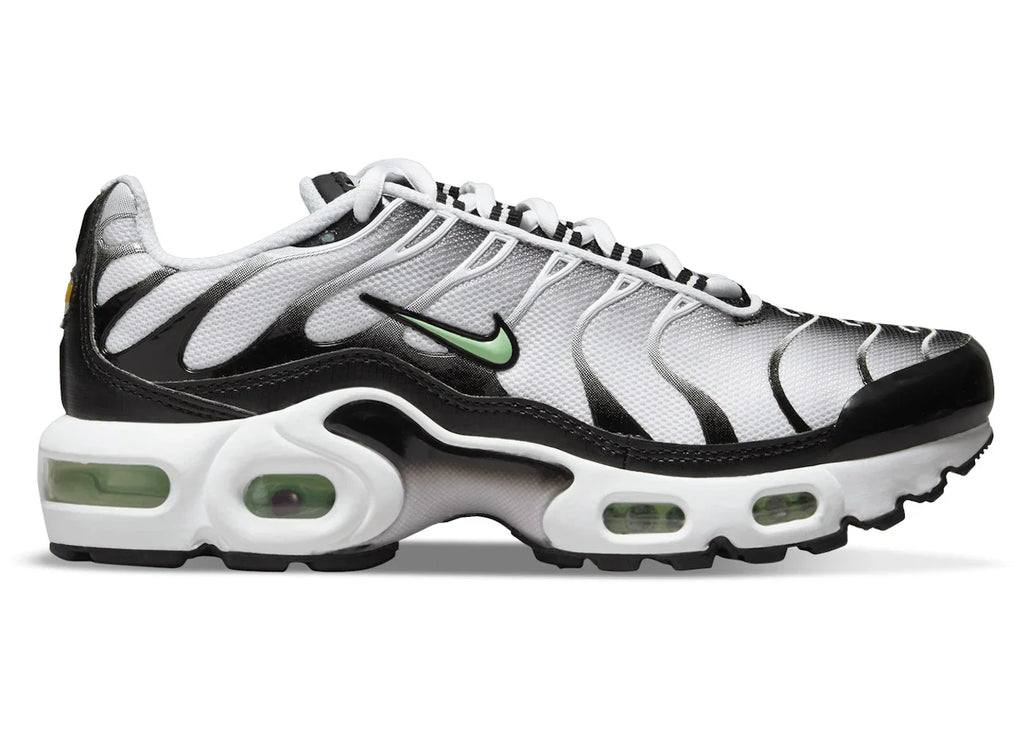 Nike Air Max Plus White Black Reflect Silver Fresh Mint (GS)