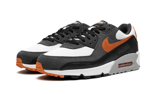 Air Max 90 "Starfish"
