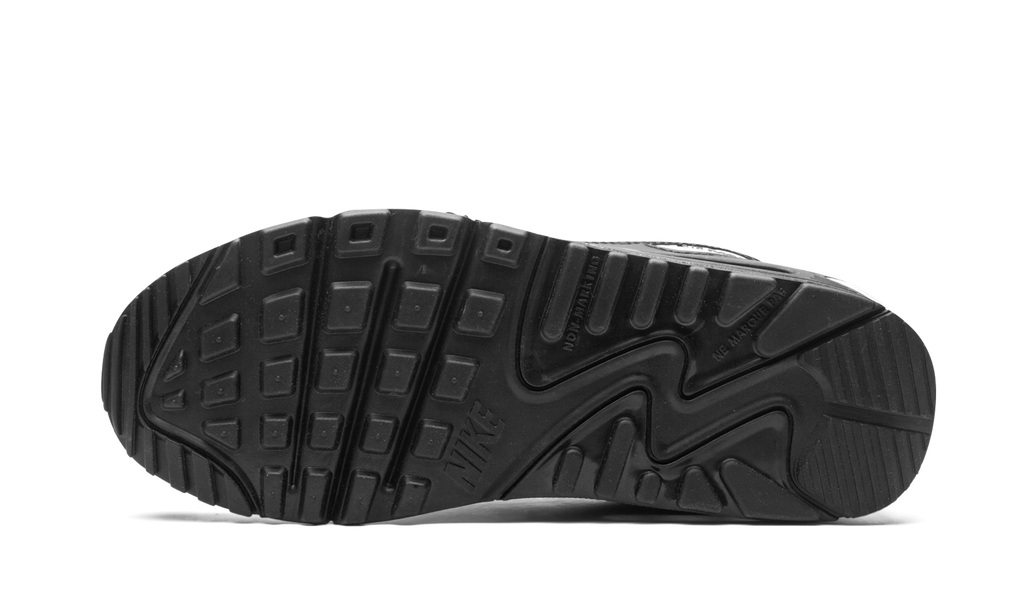 Air Max 90 LTR (GS)